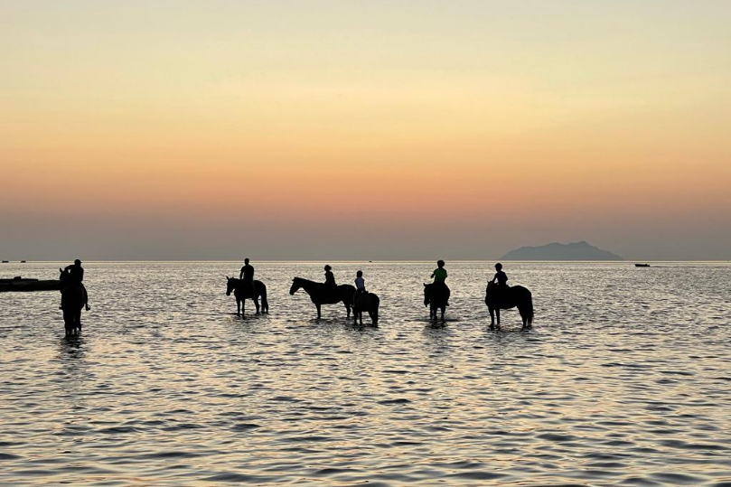 Marsala - Passeggiata a cavallo - Sicilia